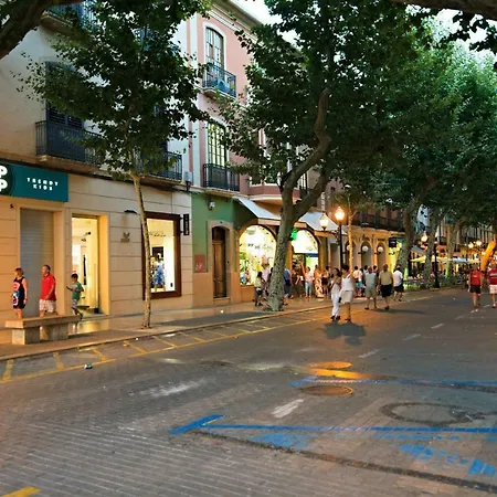 El Palmeral Vyb 데니아